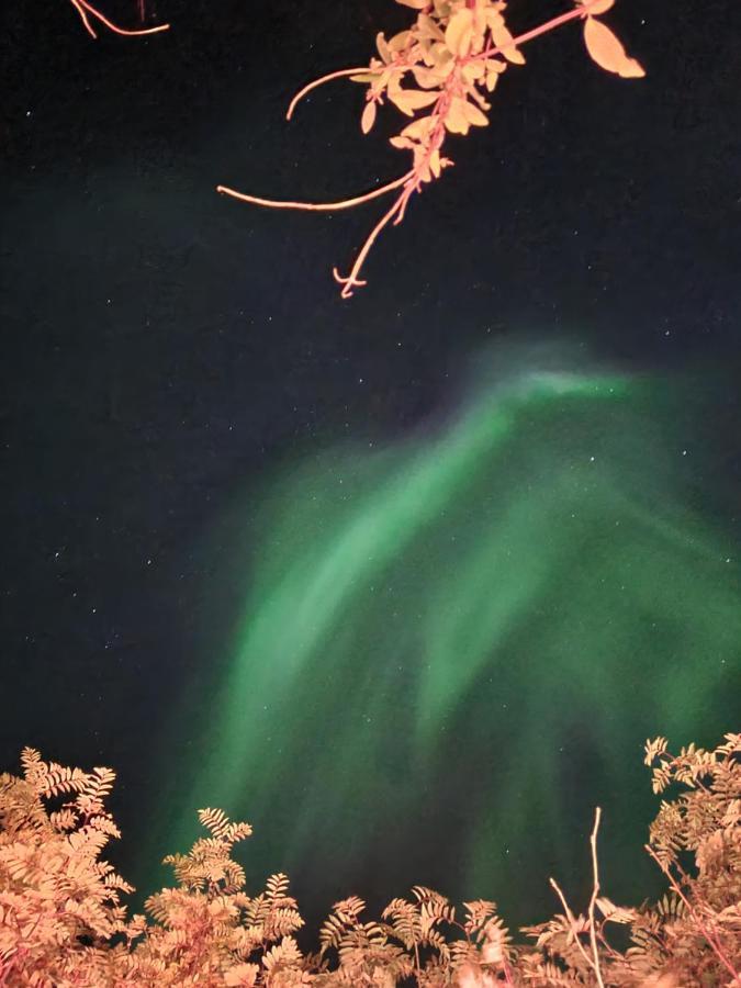 Cosy Nordic Tromso