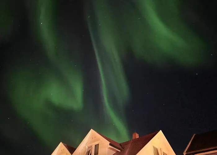 Cosy Nordic Apartment